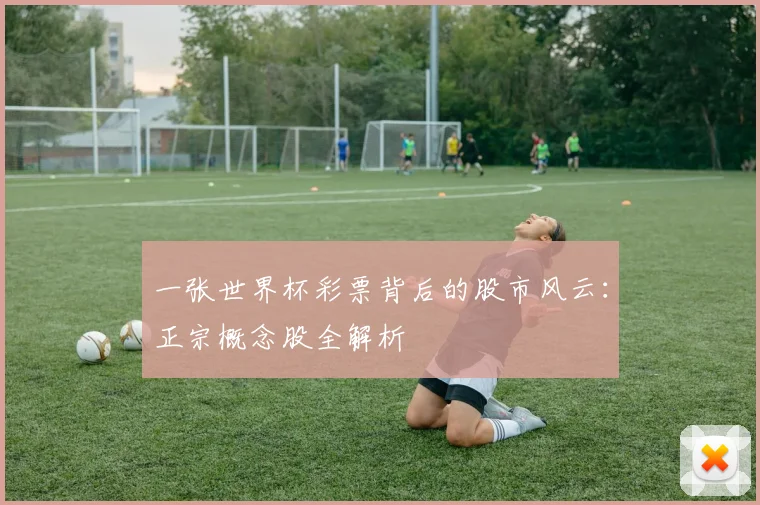 一张世界杯彩票背后的股市风云：正宗概念股全解析