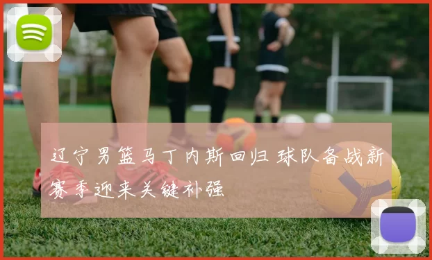 辽宁男篮马丁内斯回归 球队备战新赛季迎来关键补强