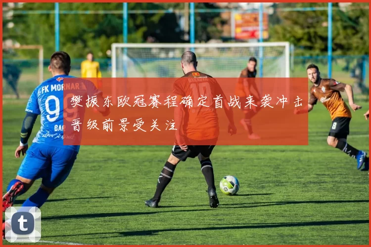 樊振东欧冠赛程确定首战来袭冲击晋级前景受关注