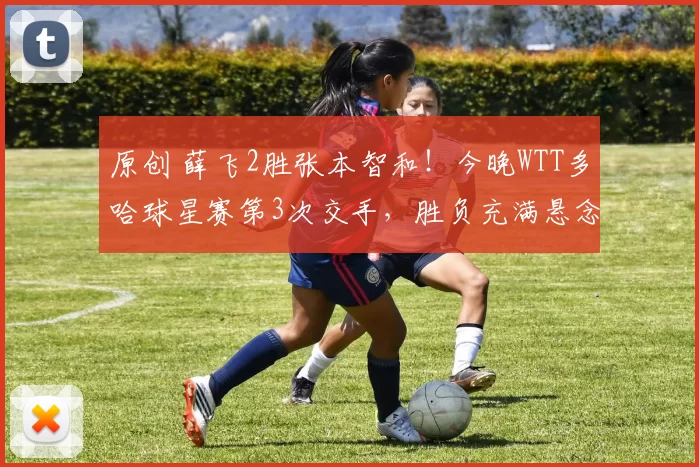 原创 薛飞2胜张本智和！今晚WTT多哈球星赛第3次交手，胜负充满悬念