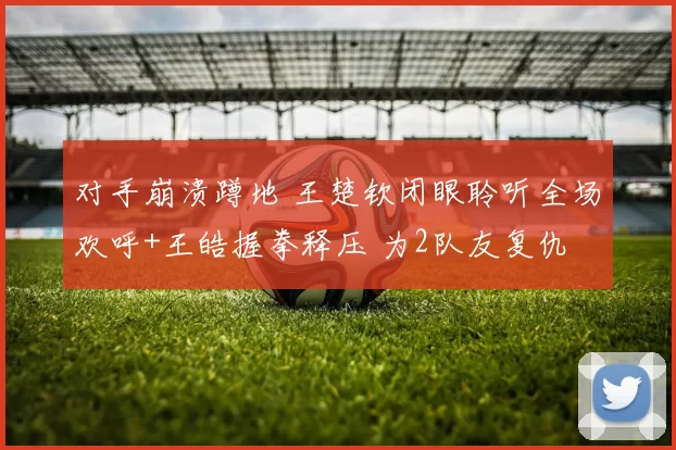 对手崩溃蹲地 王楚钦闭眼聆听全场欢呼+王皓握拳释压 为2队友复仇