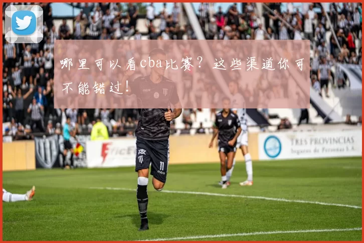 哪里可以看cba比赛？这些渠道你可不能错过！